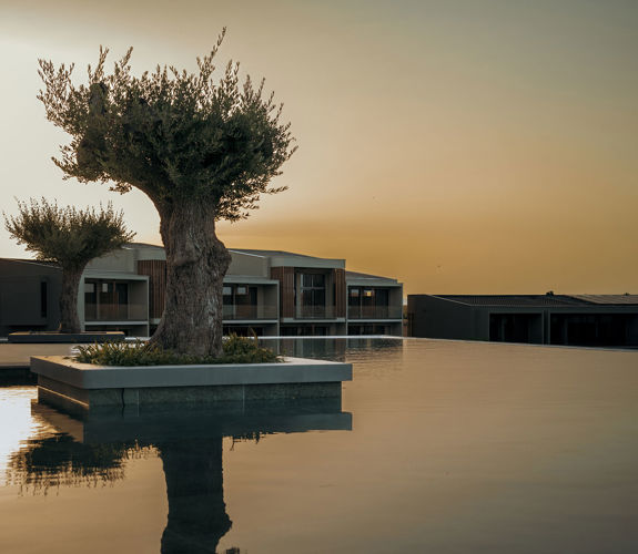 Zelia Resort Halkidiki pool view with a tree in the middle at sunset
