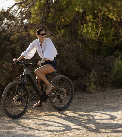 Zelia E-bikes
